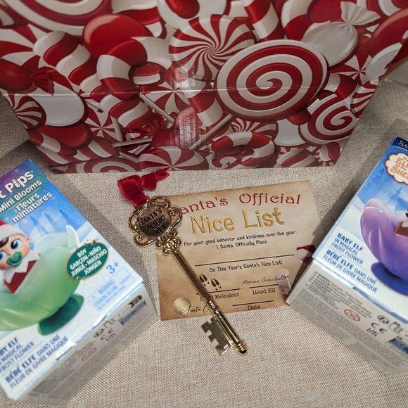 New frost pips elf on the shelf blue eyes boy & girl baby + nice list + key - Picture 5 of 6